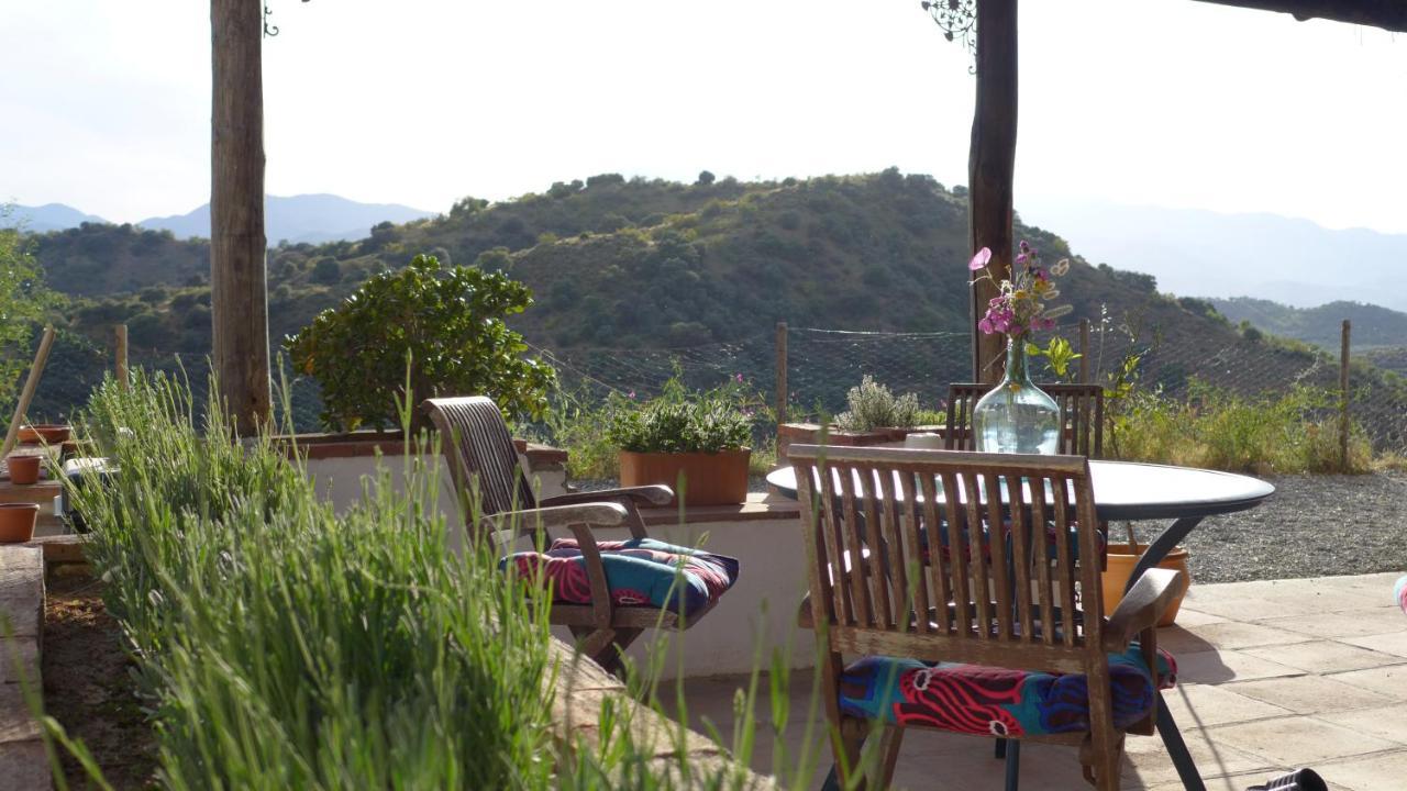 Corazon Andaluz Guesthouse Coín Eksteriør bilde