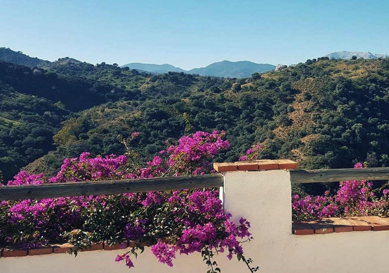 Corazon Andaluz Guesthouse Coín Eksteriør bilde