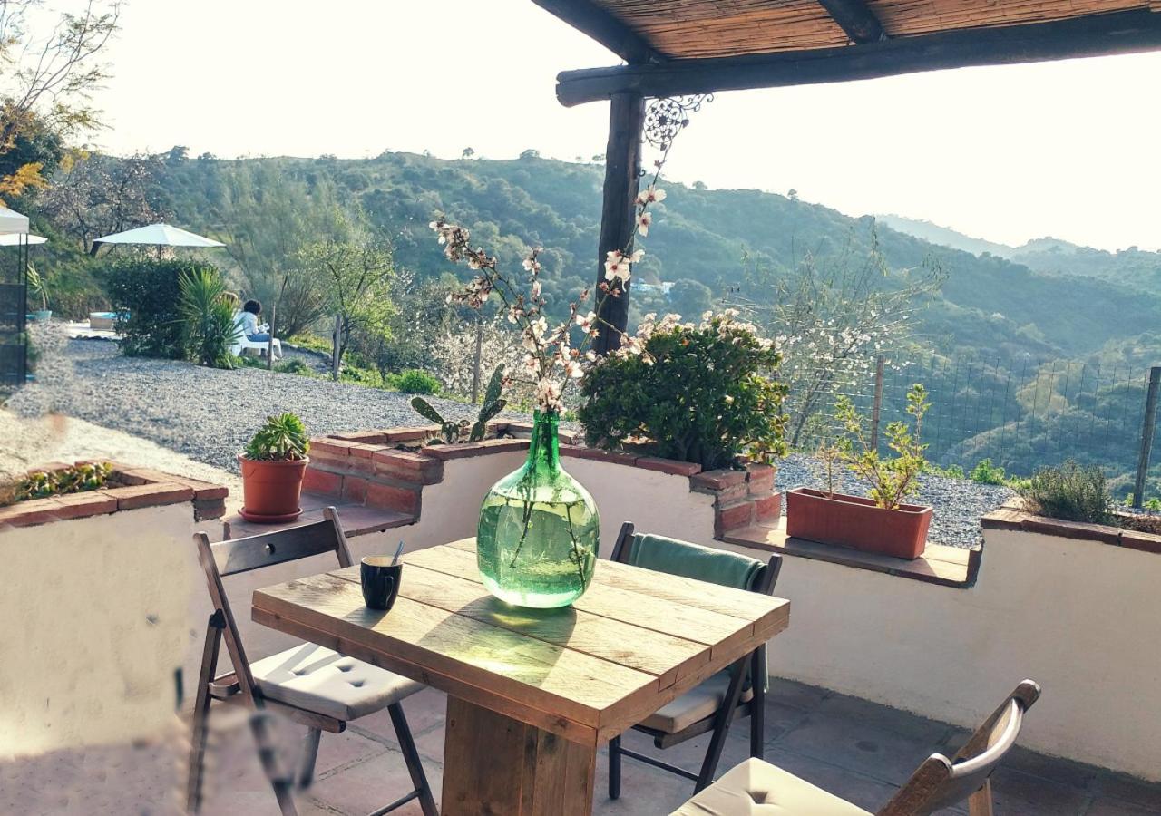 Corazon Andaluz Guesthouse Coín Eksteriør bilde